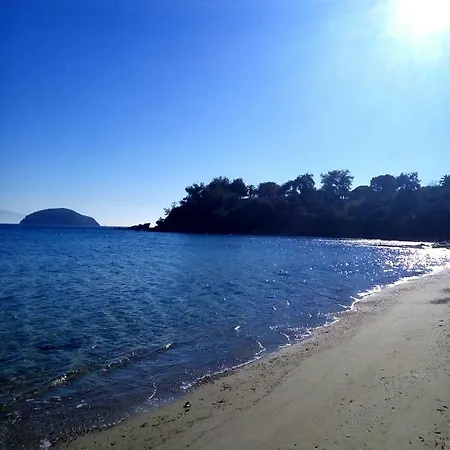 Sea And Garden *